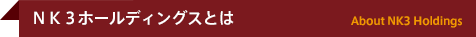 ＮＫ３ホールディングスとは　About NK3 Holdings