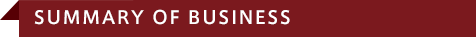 SUMMARY OF BUSINESS